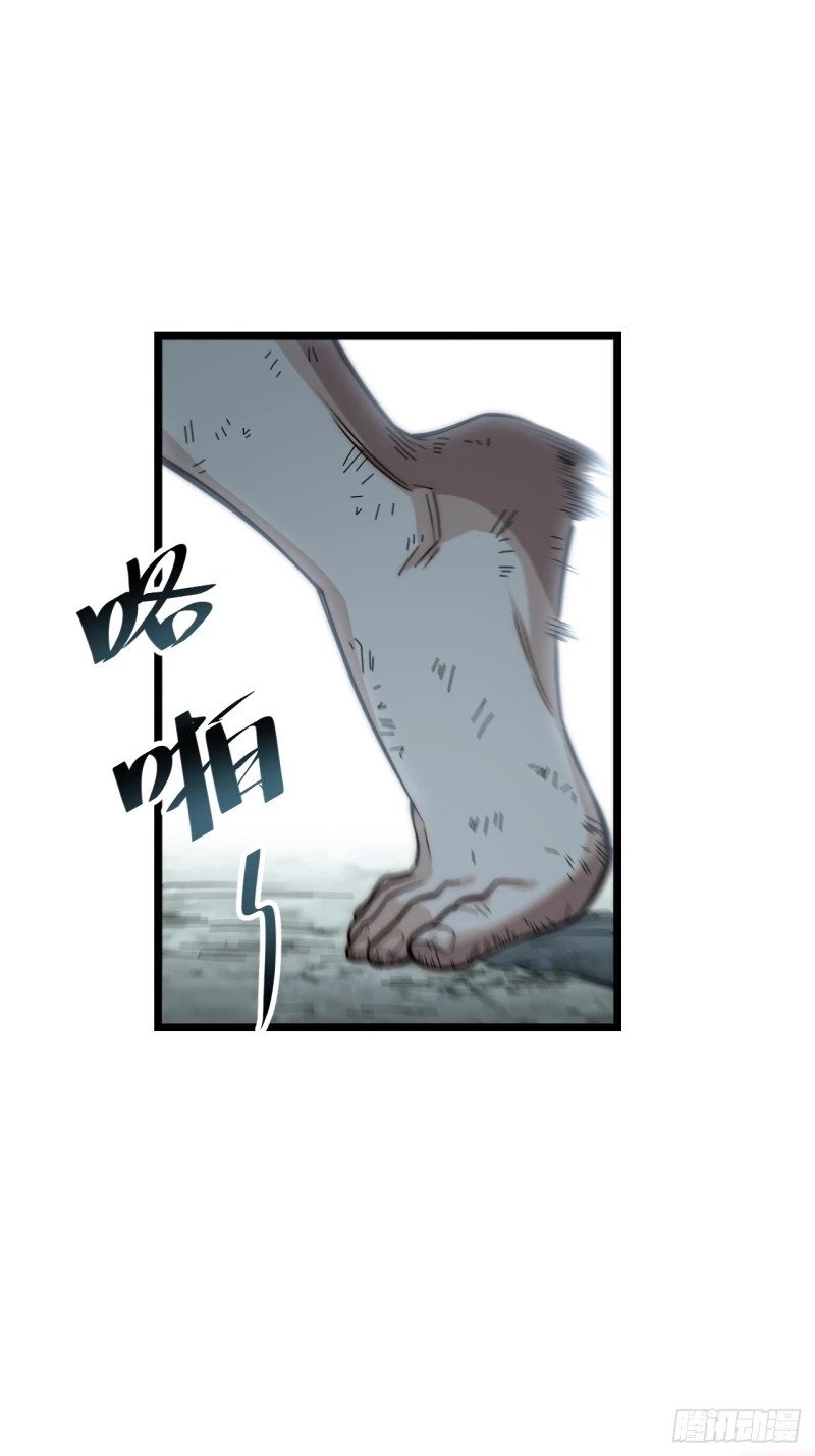 166.责任33
