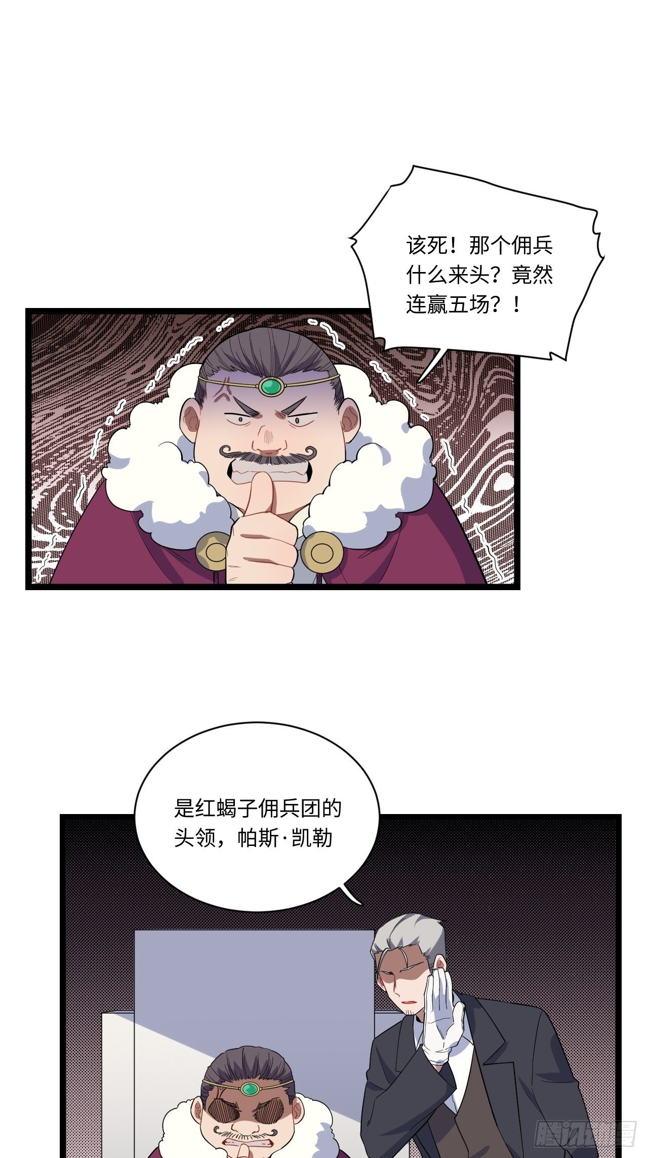 5.佣兵团头领——帕斯22