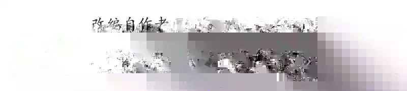 176.变天66