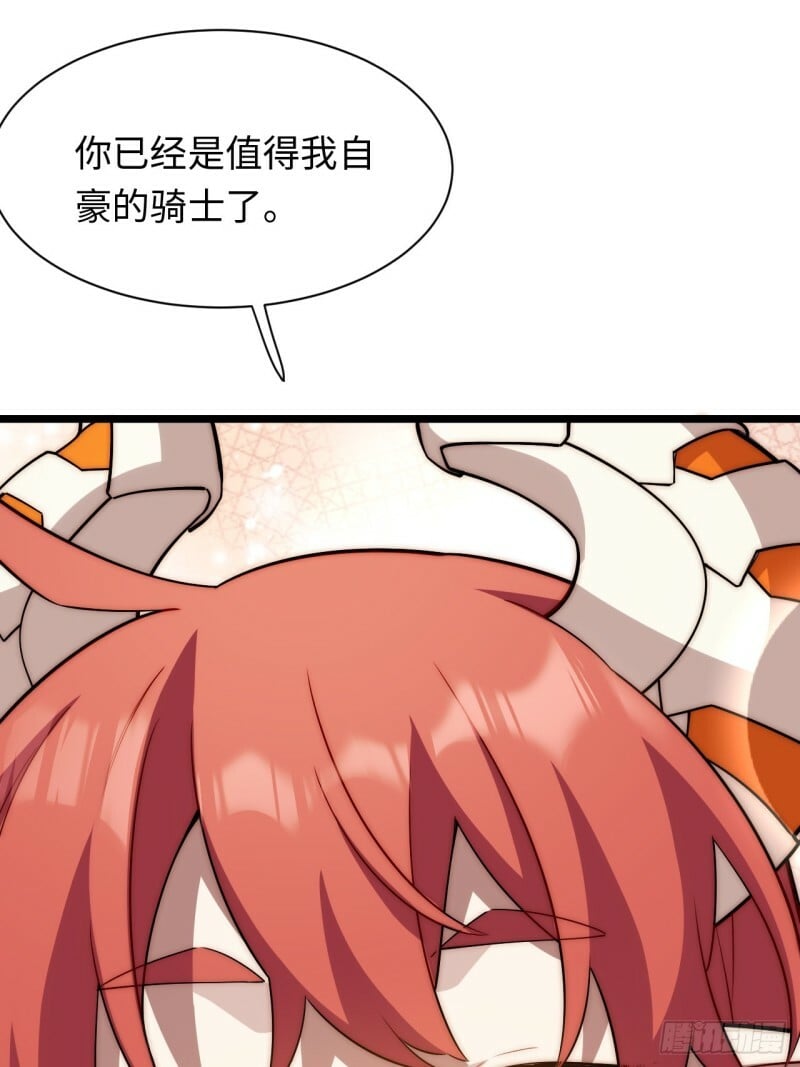 171.令人自豪的骑士47