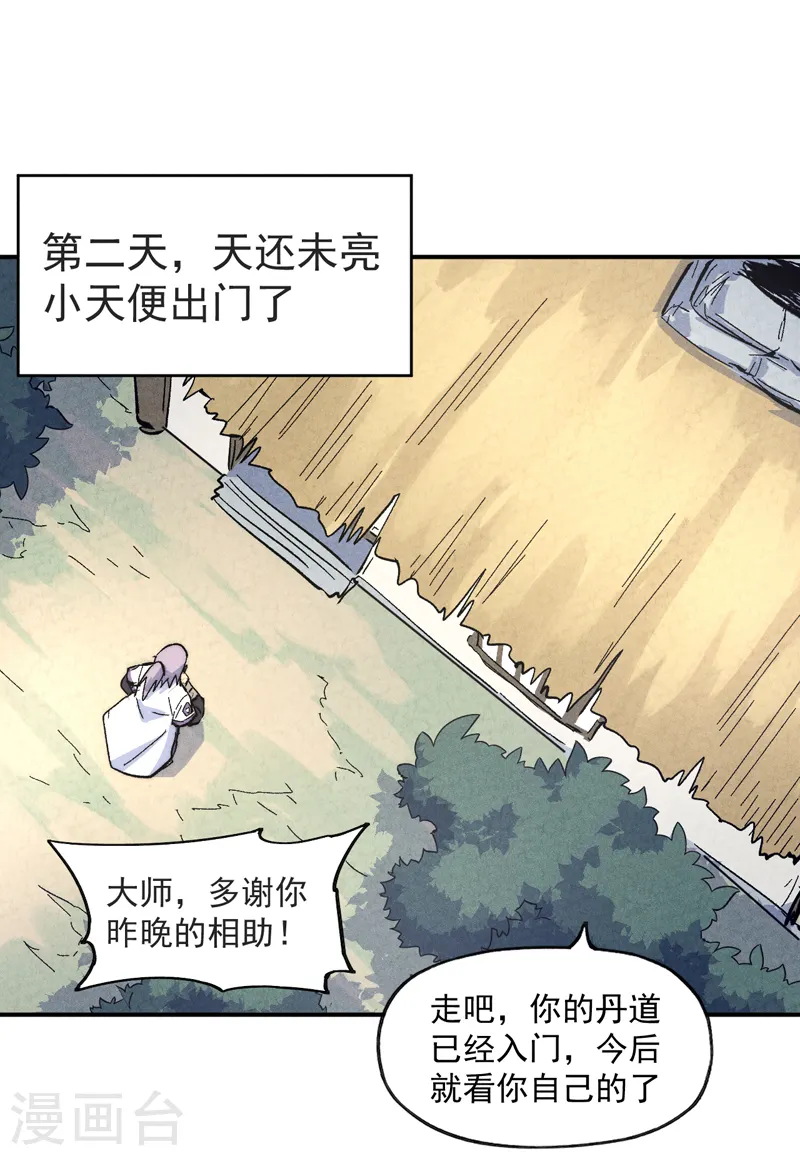 第123话 木头结丹28