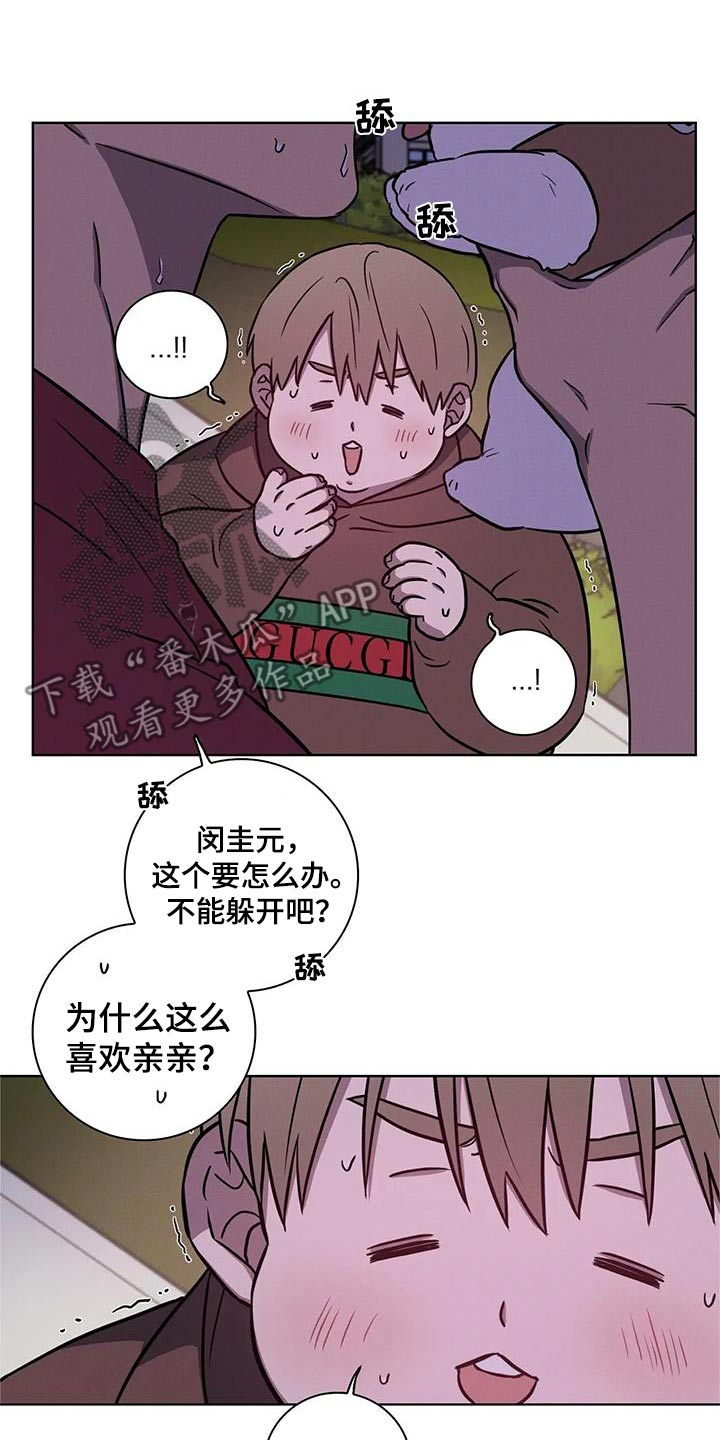 第40章：亲亲10