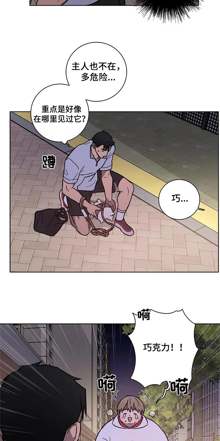 第38章：散步4