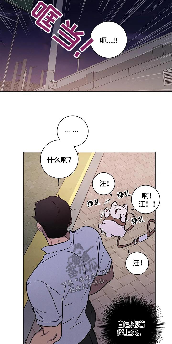 第38章：【番外】散步3