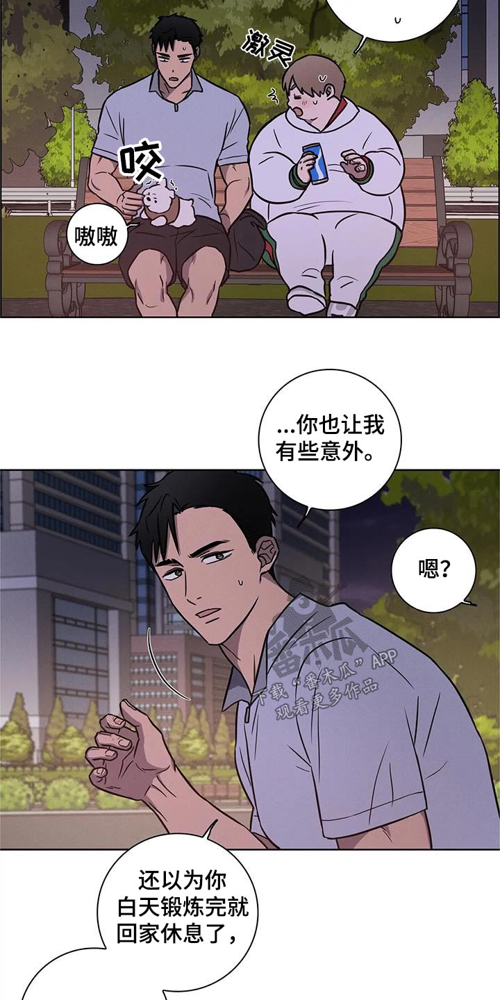 第38章：【番外】散步11