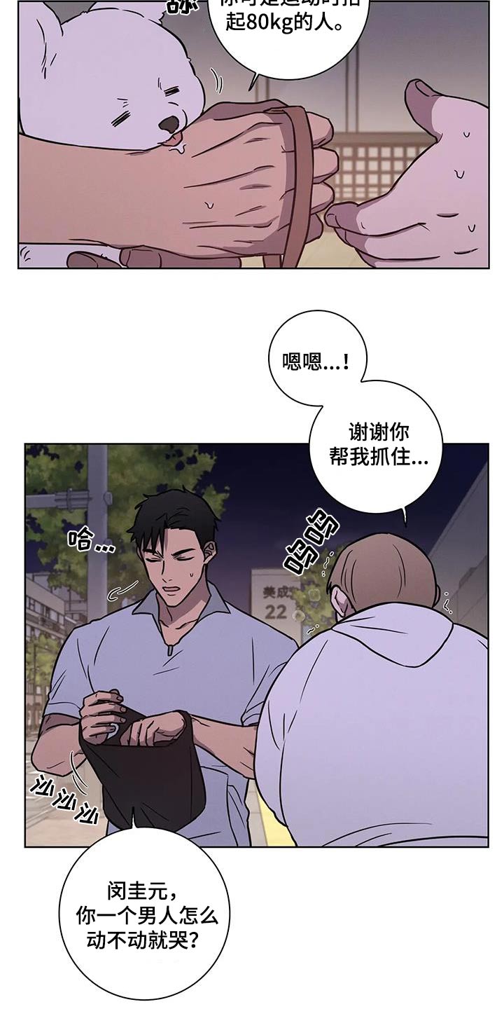 第38章：【番外】散步6