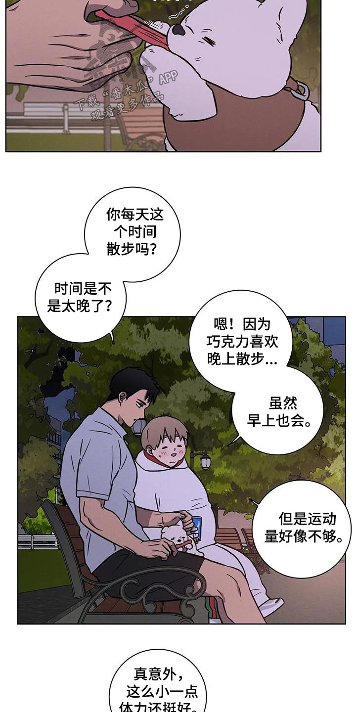 第38章：【番外】散步9