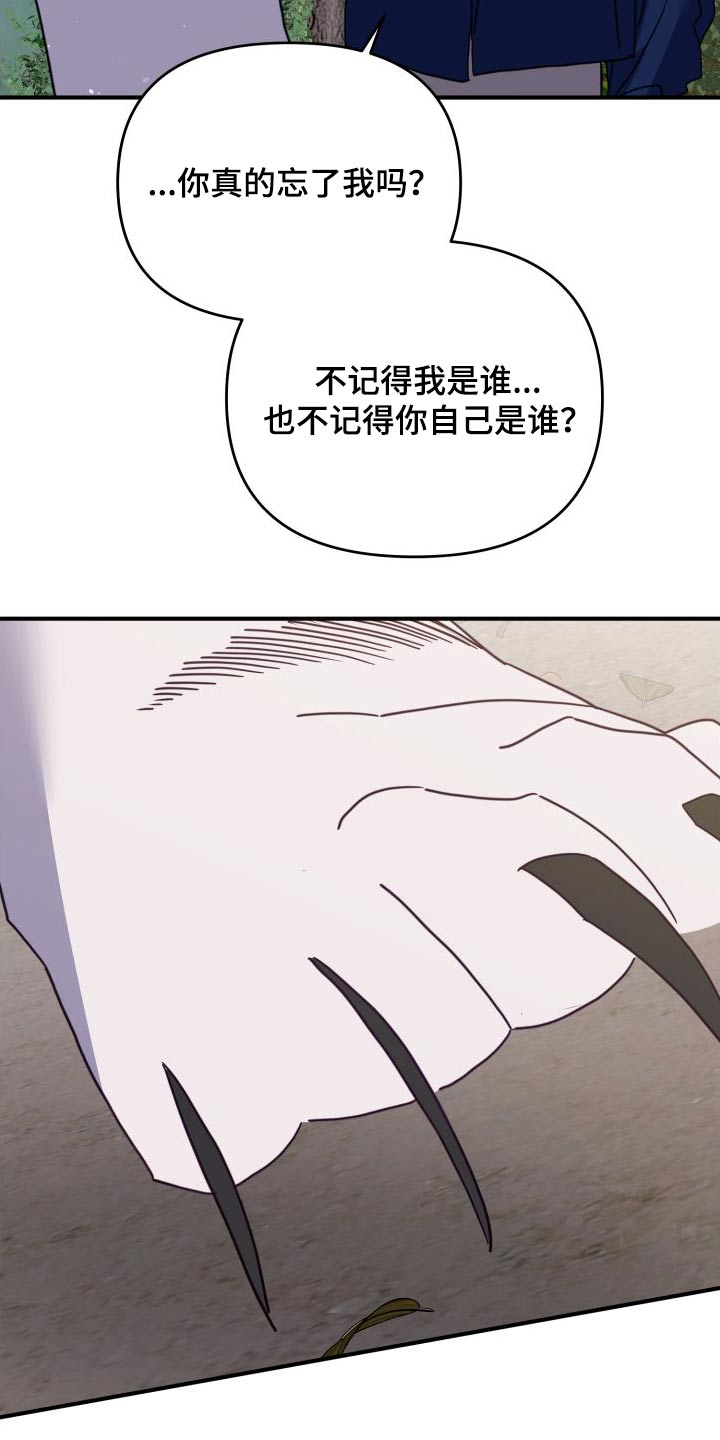 第80章：赌约11