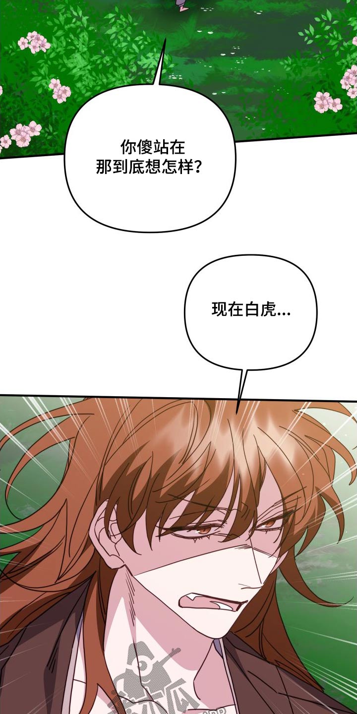 第80章：赌约22