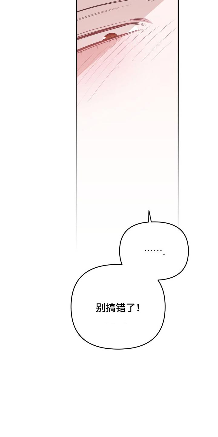 第80章：赌约28