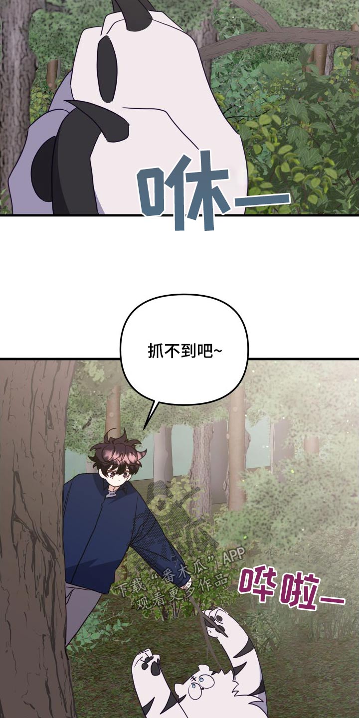 第81章：靠近27