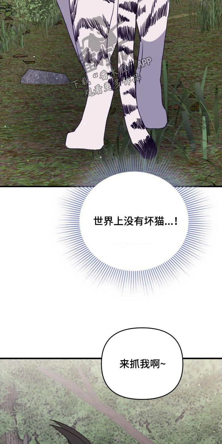 第81章：靠近26