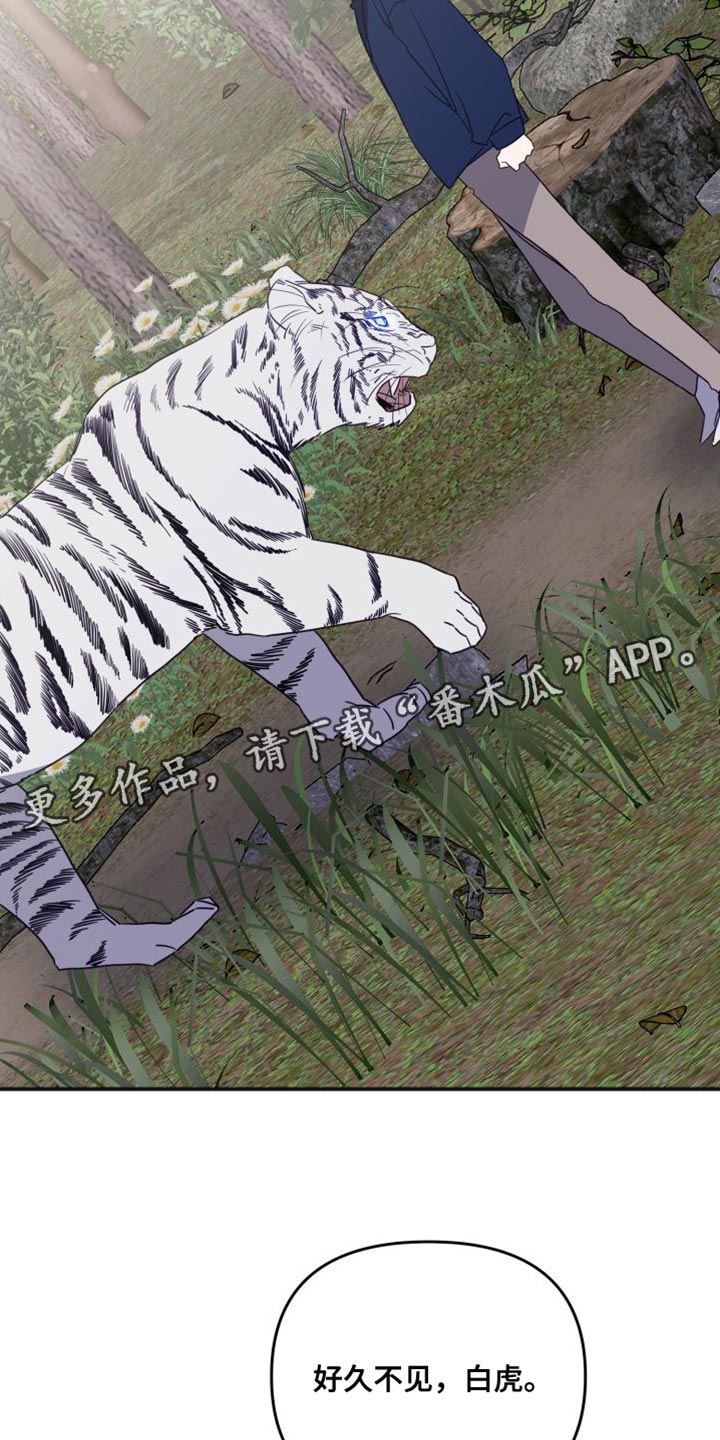 第79章：好久不见40