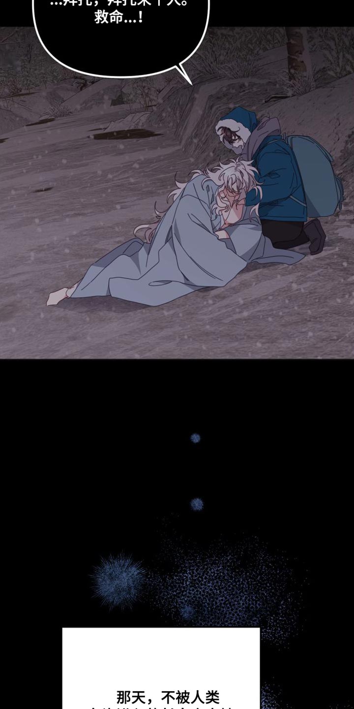 第78章：我愿意24