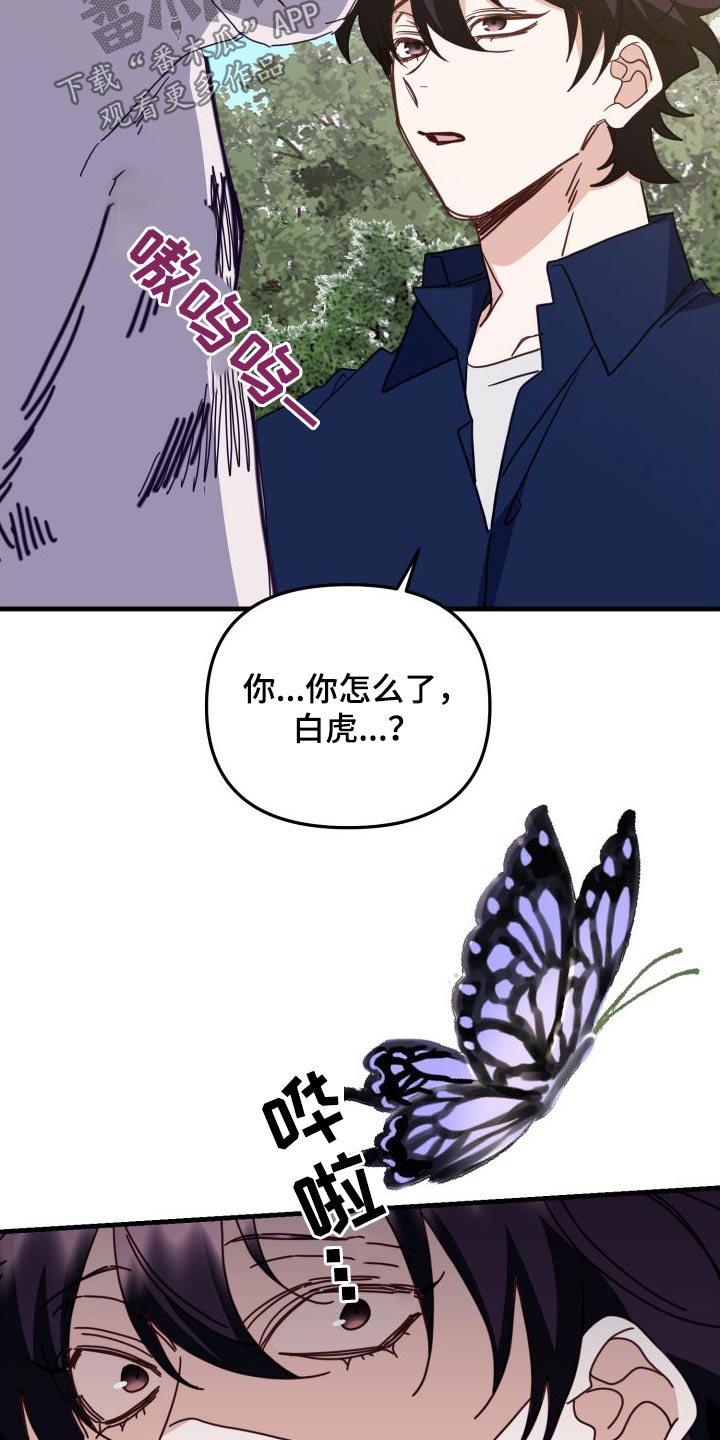 第82章：你赢了12