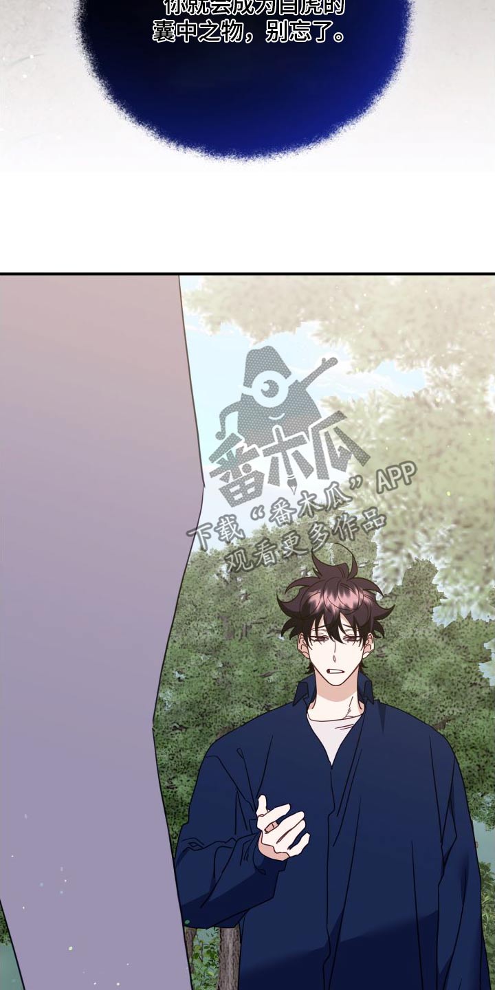 第80章：赌约10