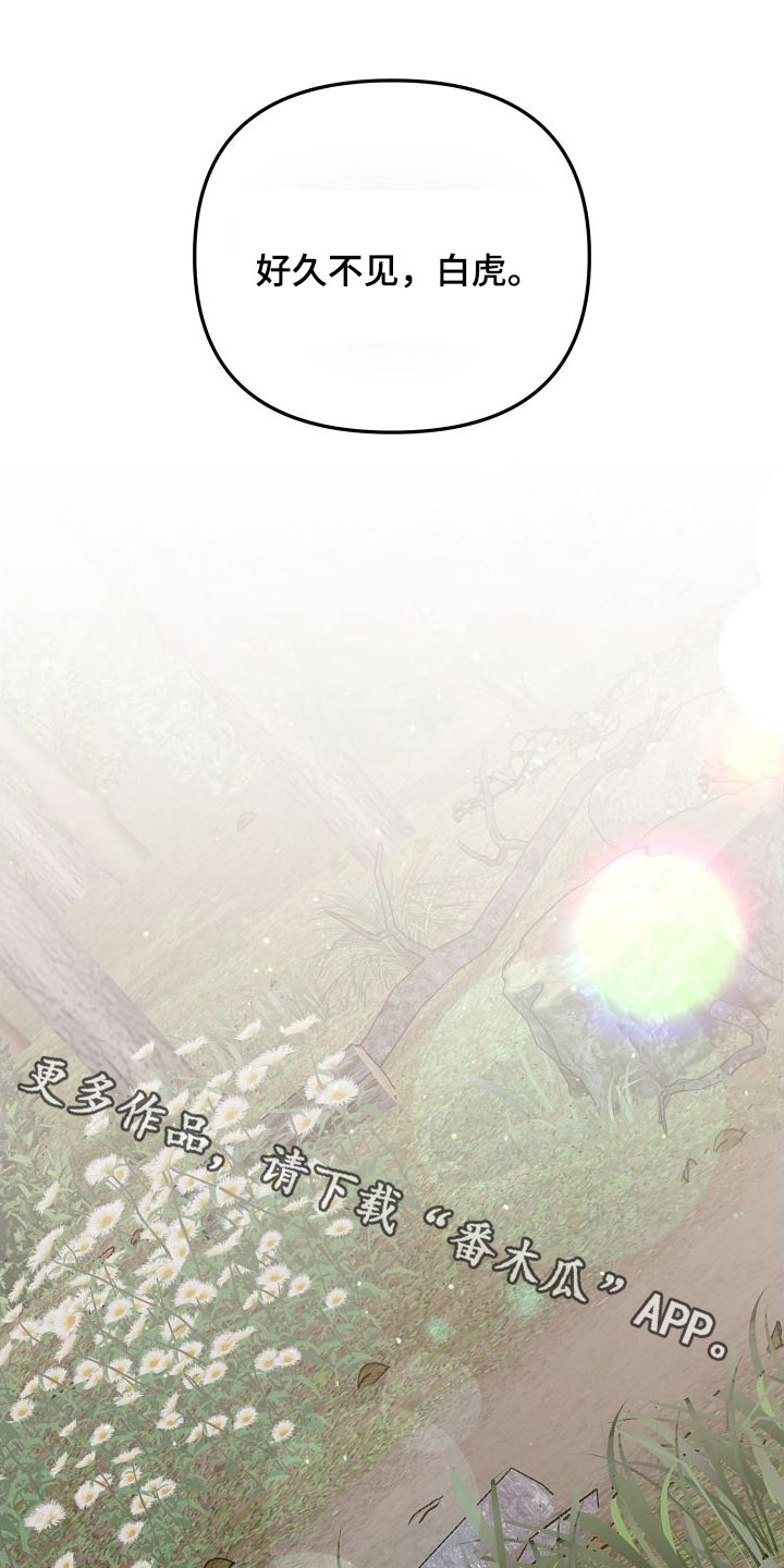 第80章：赌约0