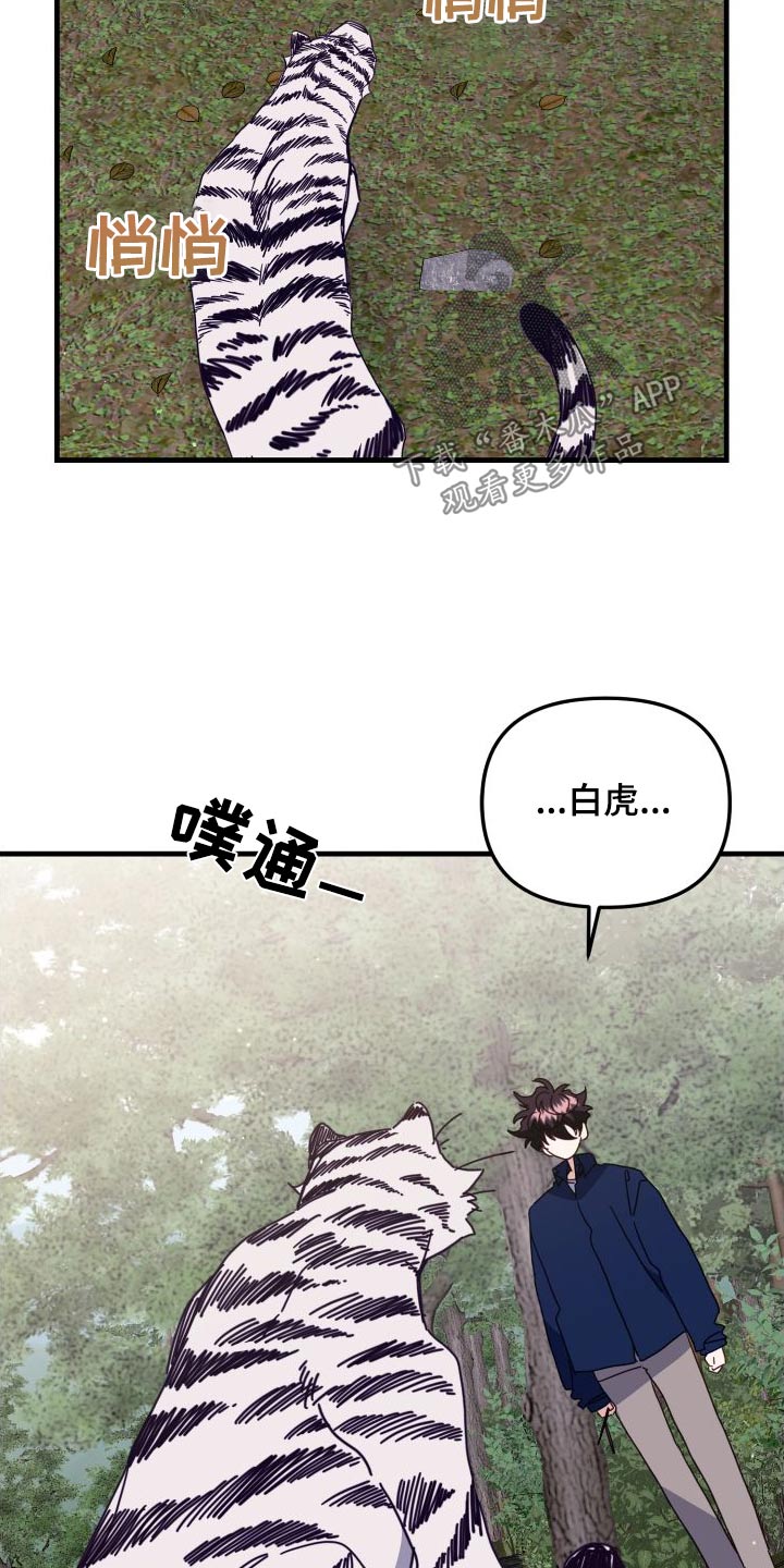 第82章：你赢了2