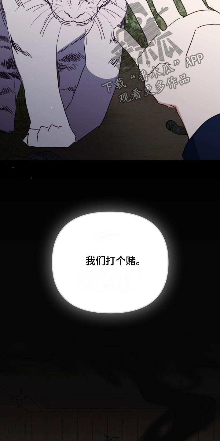 第80章：赌约3