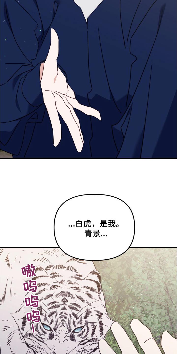 第80章：赌约2