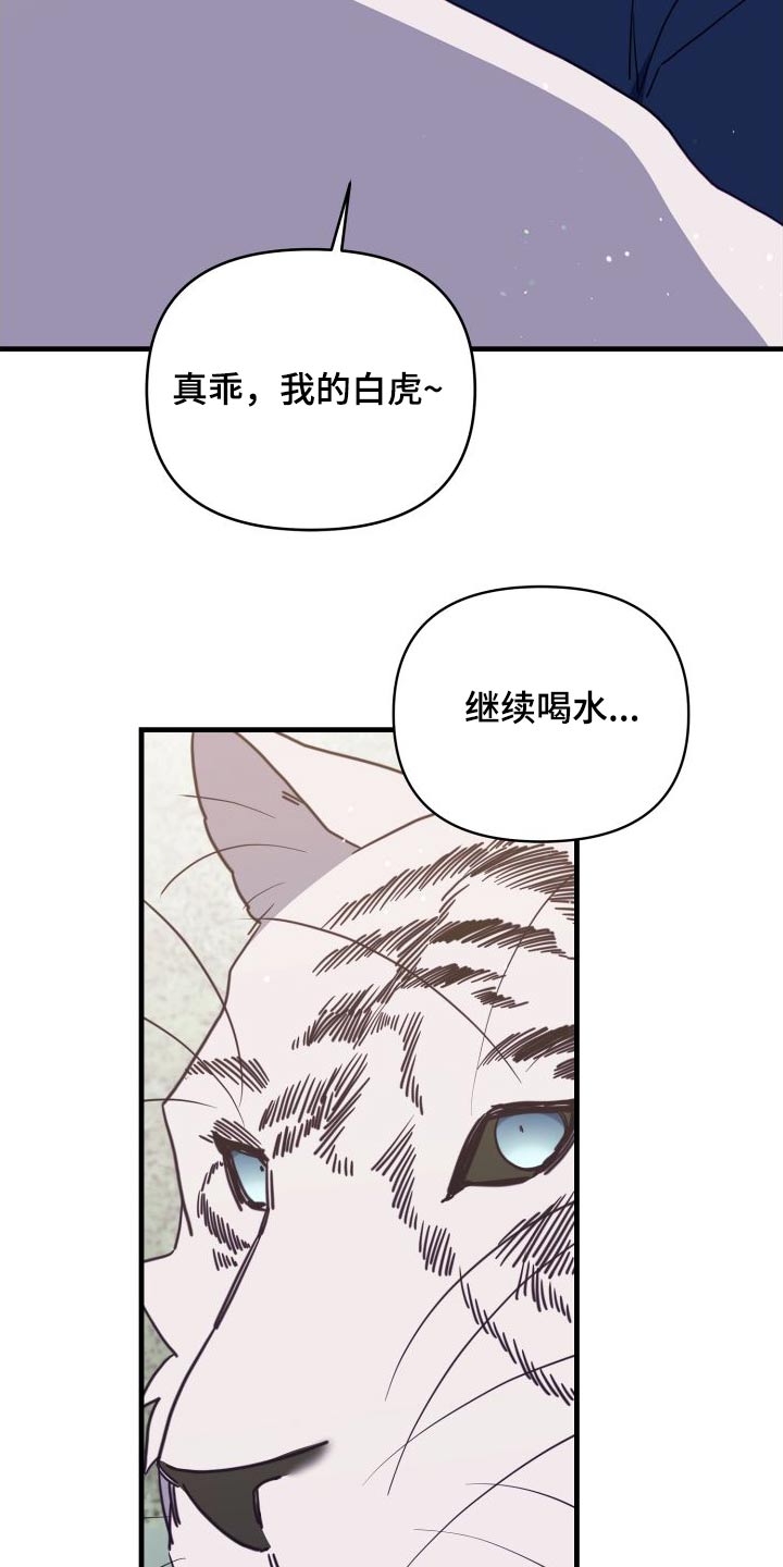 第81章：靠近17