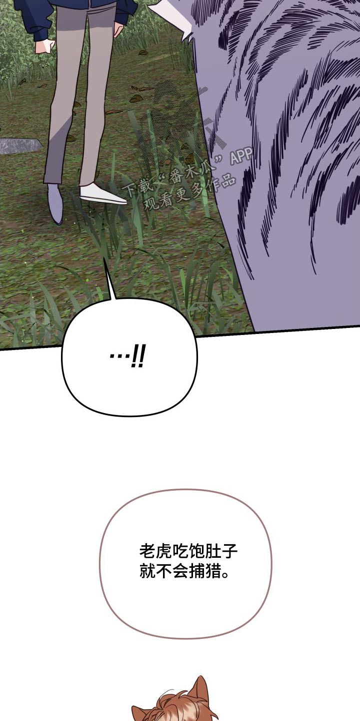 第81章：靠近13
