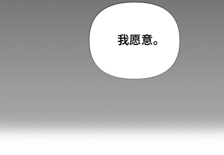 第78章：我愿意46