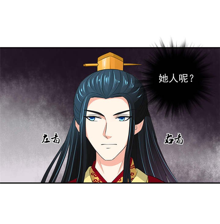 第29章：皇上驾到！45
