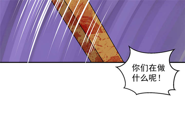 第29章：皇上驾到！36