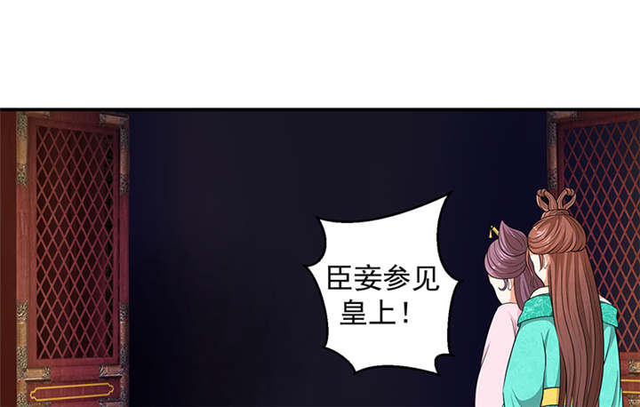 第29章：皇上驾到！40