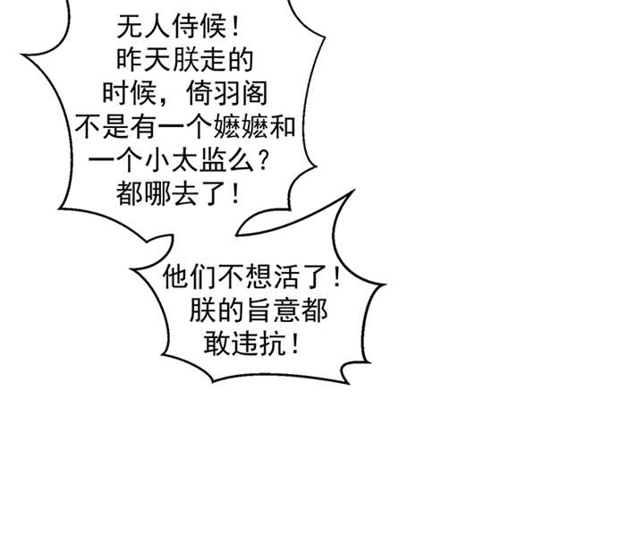 第36章：皇上夜无眠37