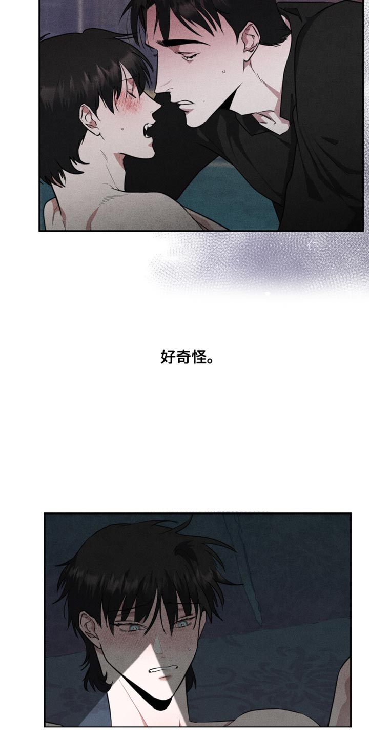 第51章：到此为止吧12