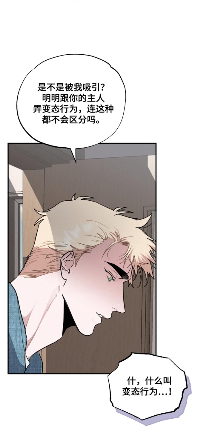 第52章：真的很有趣14