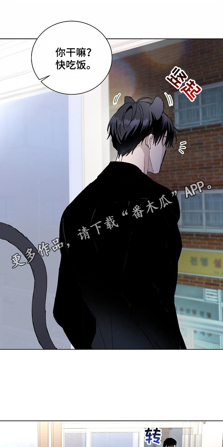 第60章：你骗人0