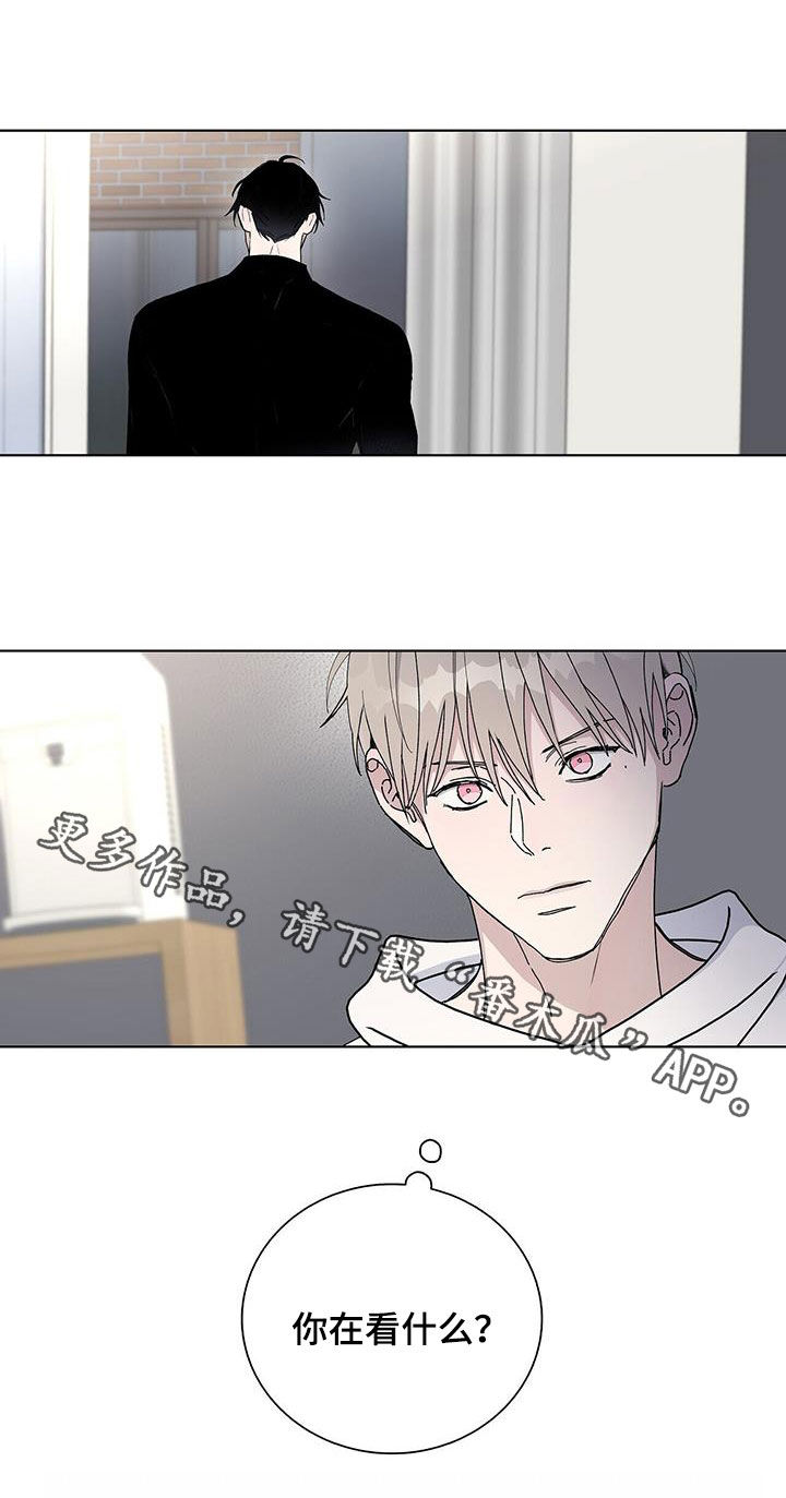 第59章：便当19