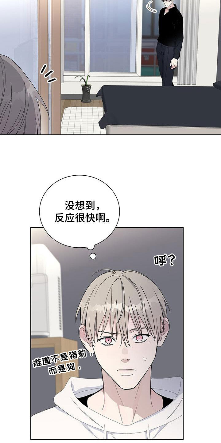 第60章：你骗人1