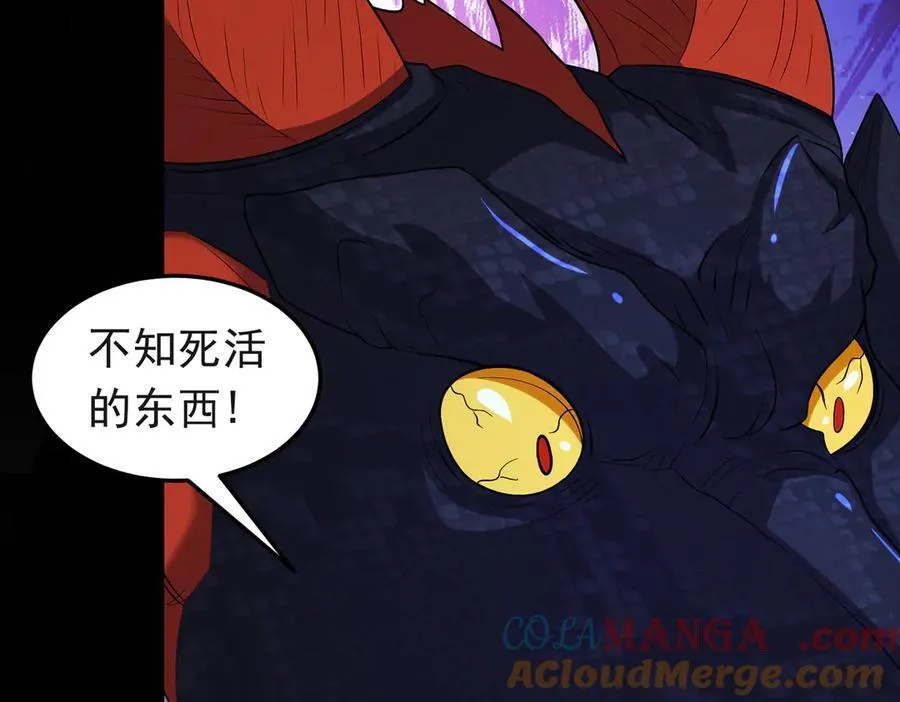 第116话 一触即发24