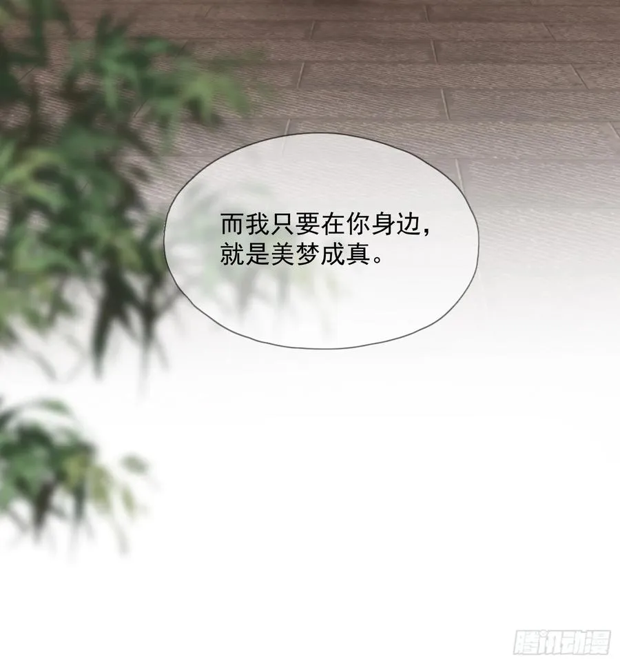 第55话 美梦成真（老三篇）29