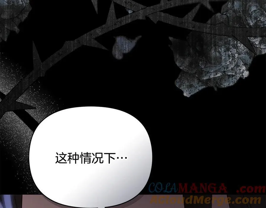 第124话 即将闹哄哄132