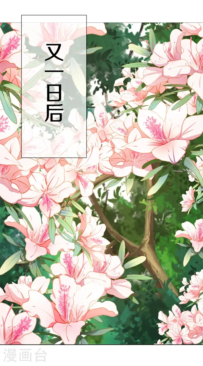 第744话 天地妙果50