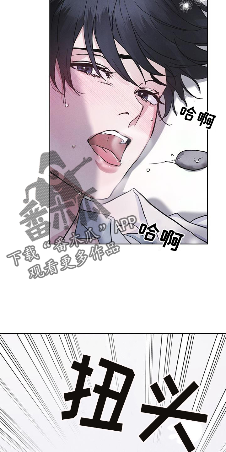 第65章：查询17