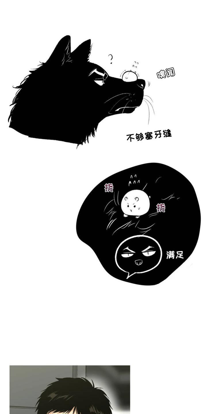 第83章：人物介绍卡5