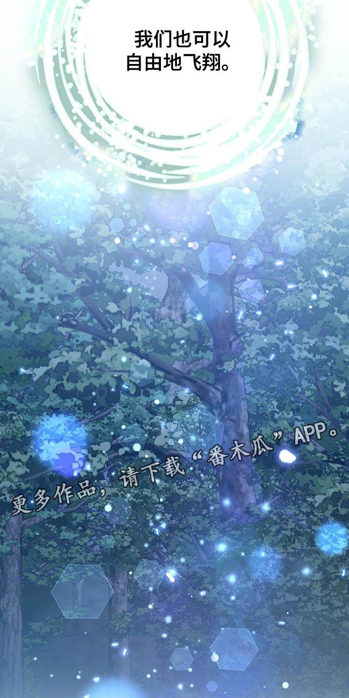第100章：自由地飞翔26