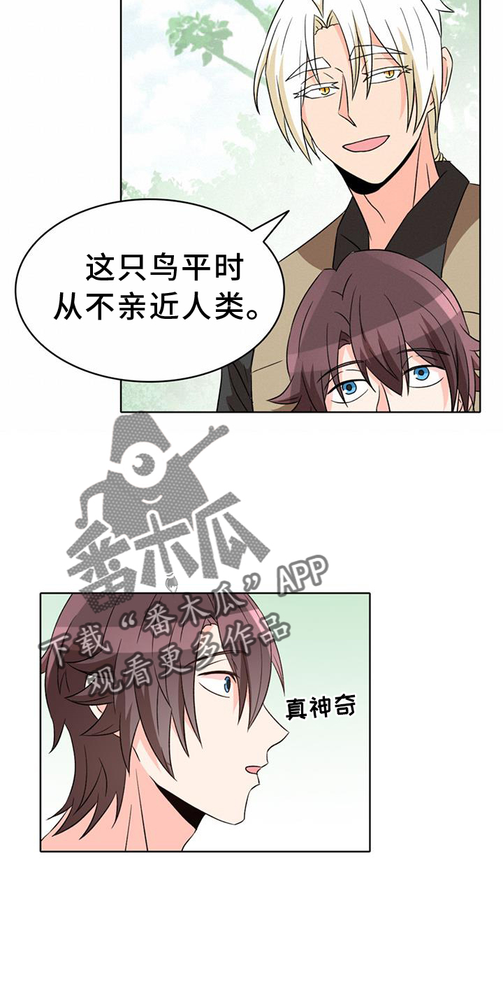 第70章：【第二季】安慰5