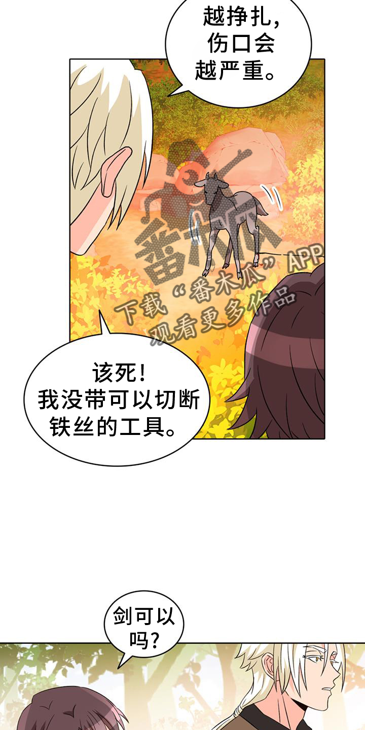 第71章：【第二季】狼9