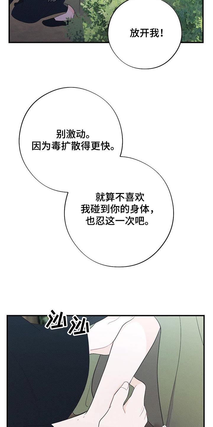 第95章：毒蛇26