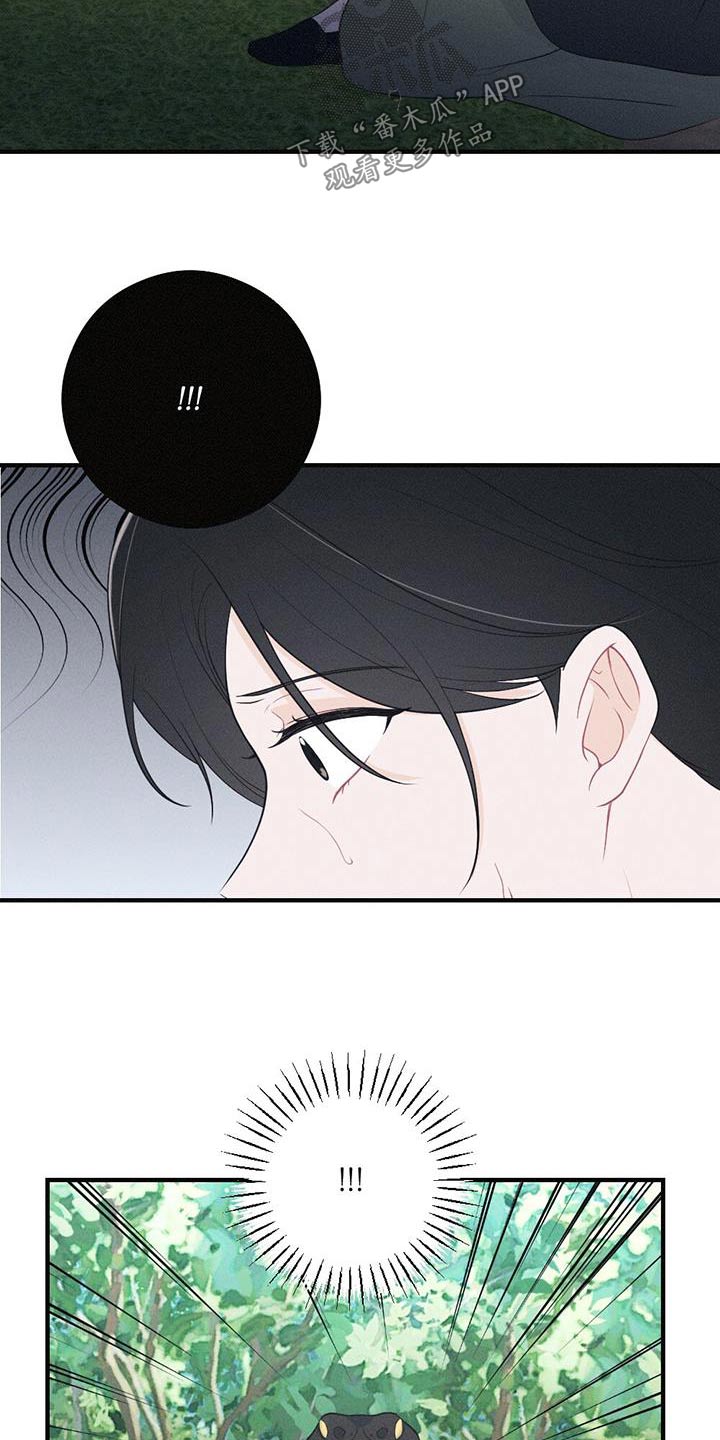 第95章：毒蛇17