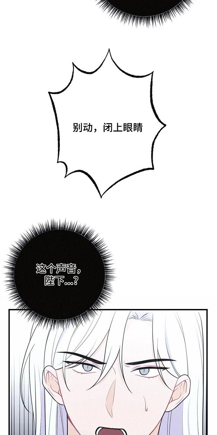 第95章：毒蛇20