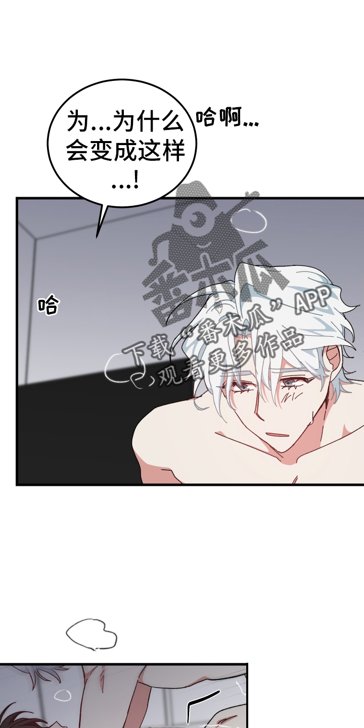 第70章：错觉13