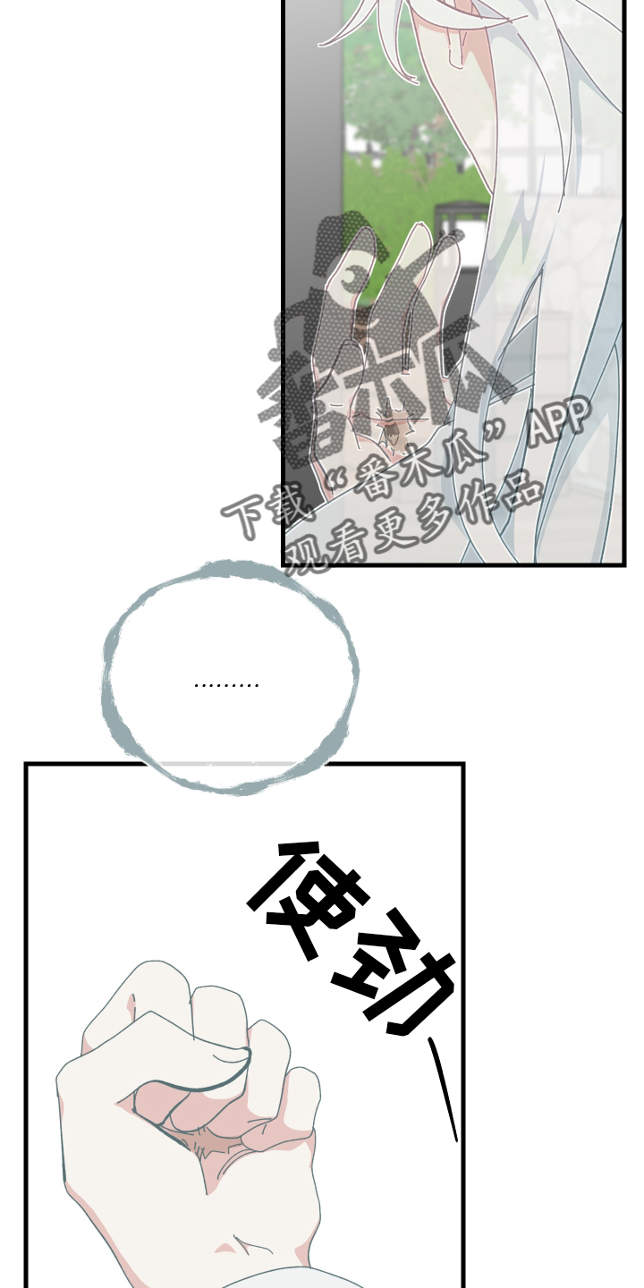 第75章：经验15